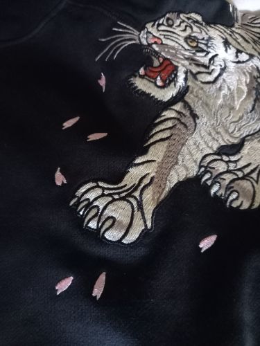 Customer photo review of Harajuku Style Embroidered Folklore Hoodie