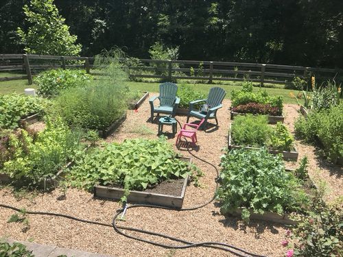 Customer photo review of Mirimichi Green Weed & Grass Control (ready-to-use spray)
