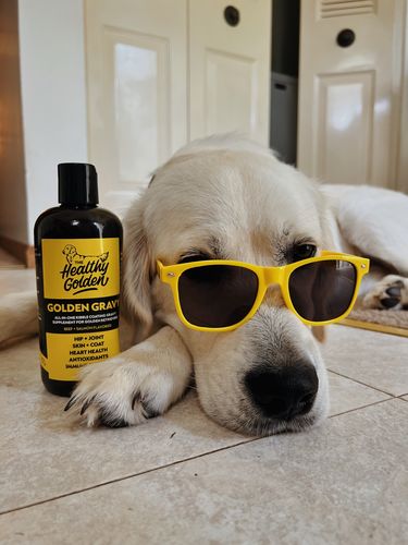 Customer photo review of Golden Gravy