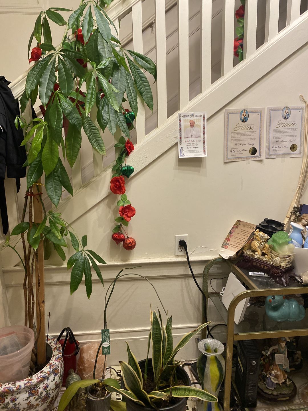 Customer photo review of Ancient Soil