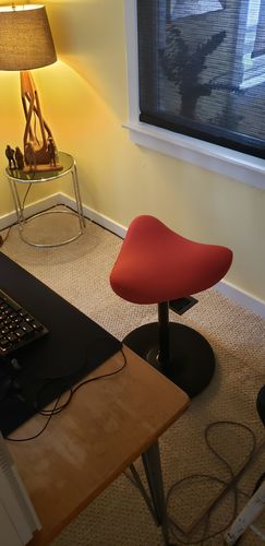 Customer photo review of Move Active Stool