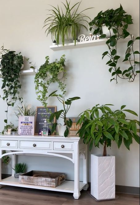 Customer photo review of Eco White Wall Planter