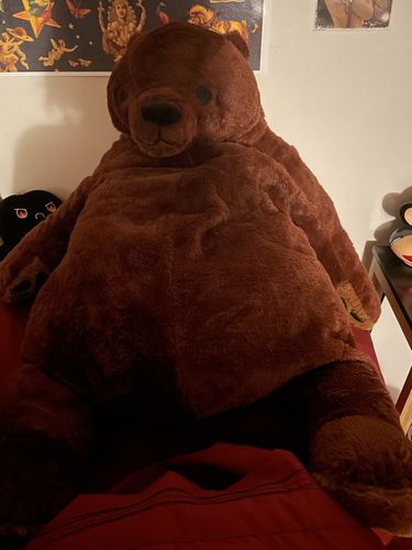 Customer photo review of SKOGGY BEAR