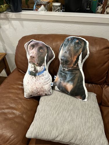 Customer photo review of Create A Custom Dog Pillow