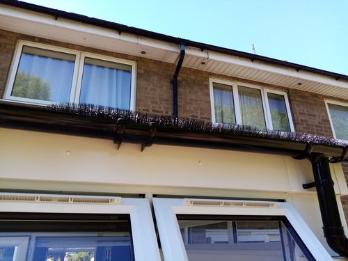 Customer photo review of Hedgehog Gutter Brush 100mm x 4m - Black