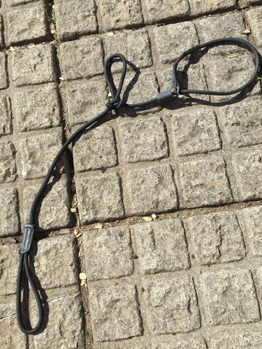 Customer photo review of Ragnar Slip Leash