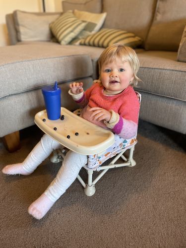 Customer photo review of Sailor baby chair v2