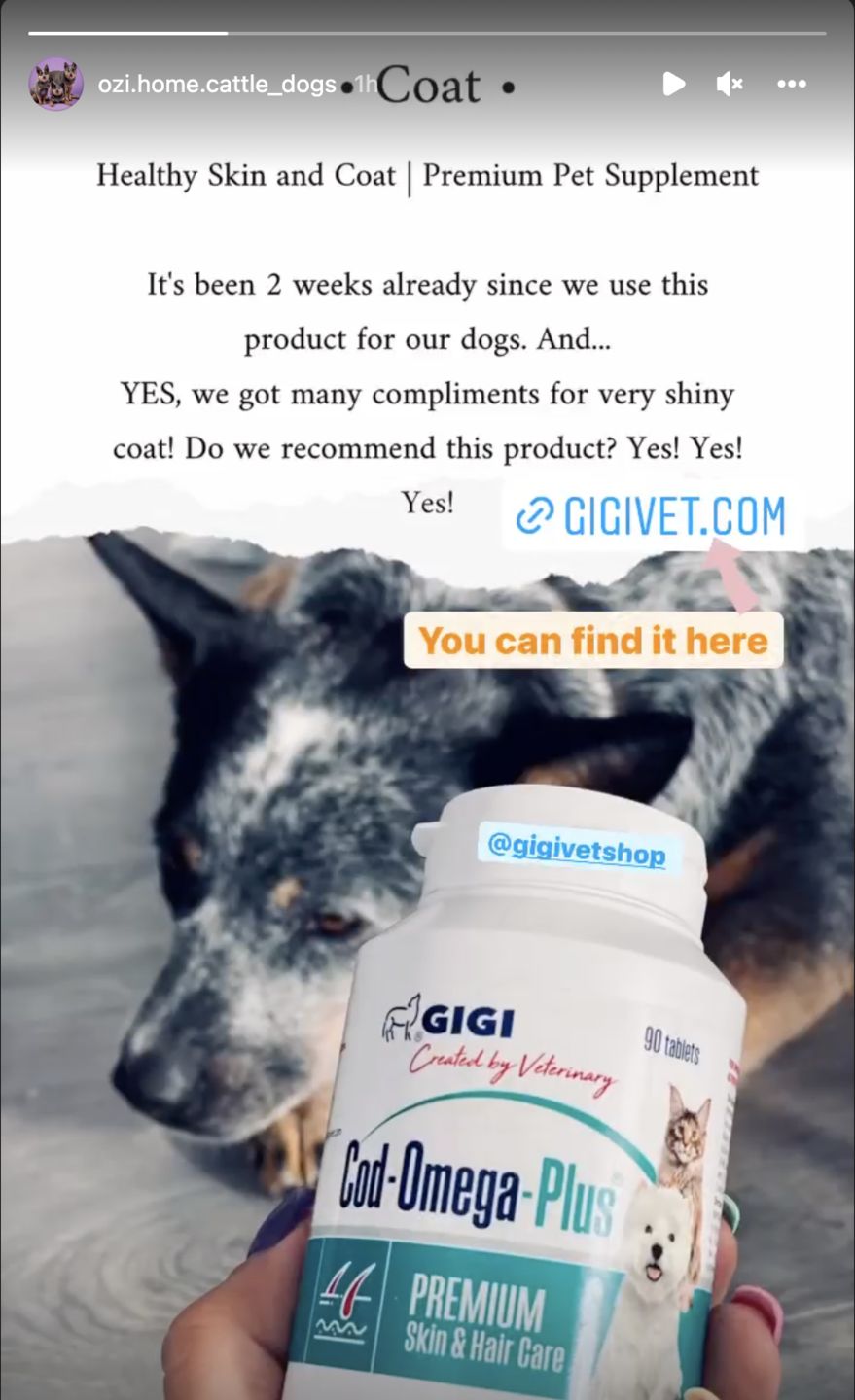 Customer photo review of Healthy Skin and Coat | Premium Pet Supplement