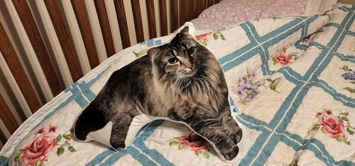 Customer photo review of Create A Custom Dog Pillow