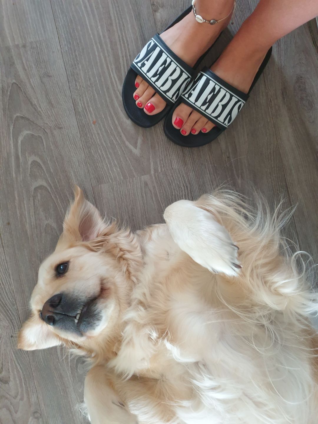 Customer photo review of Tapotchki für Damen und Herren by SAEBIS®