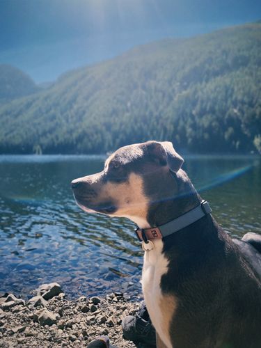 Customer photo review of Great Lakes Blue Collar - Recycled Ripstop