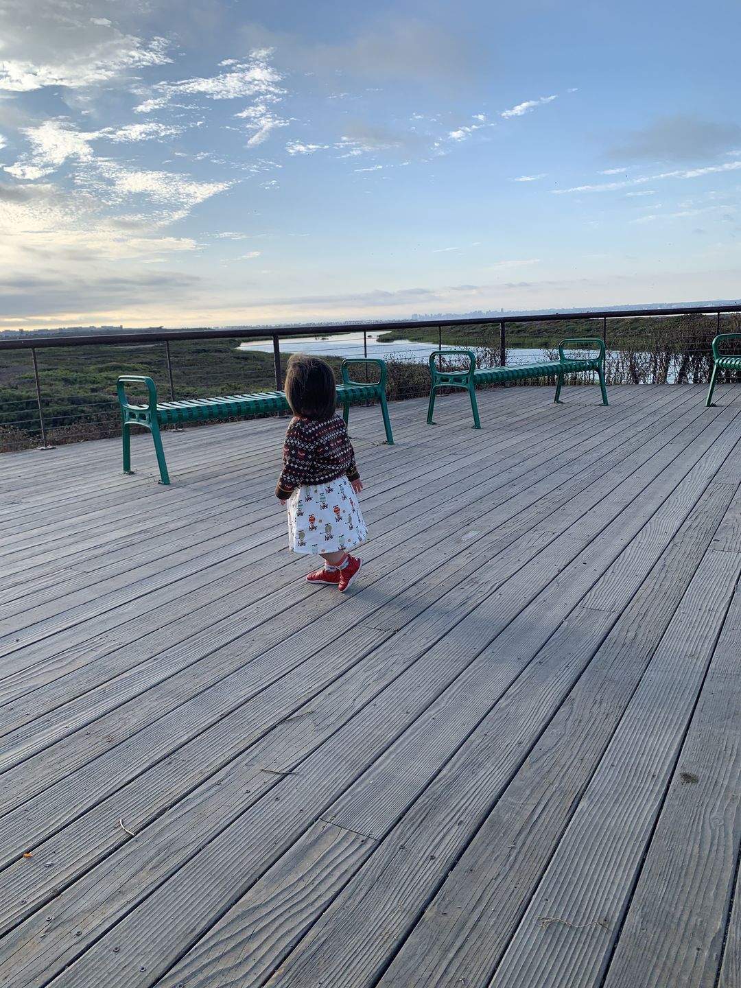 Customer photo review of Take To The Skies Organic Button Through Dress