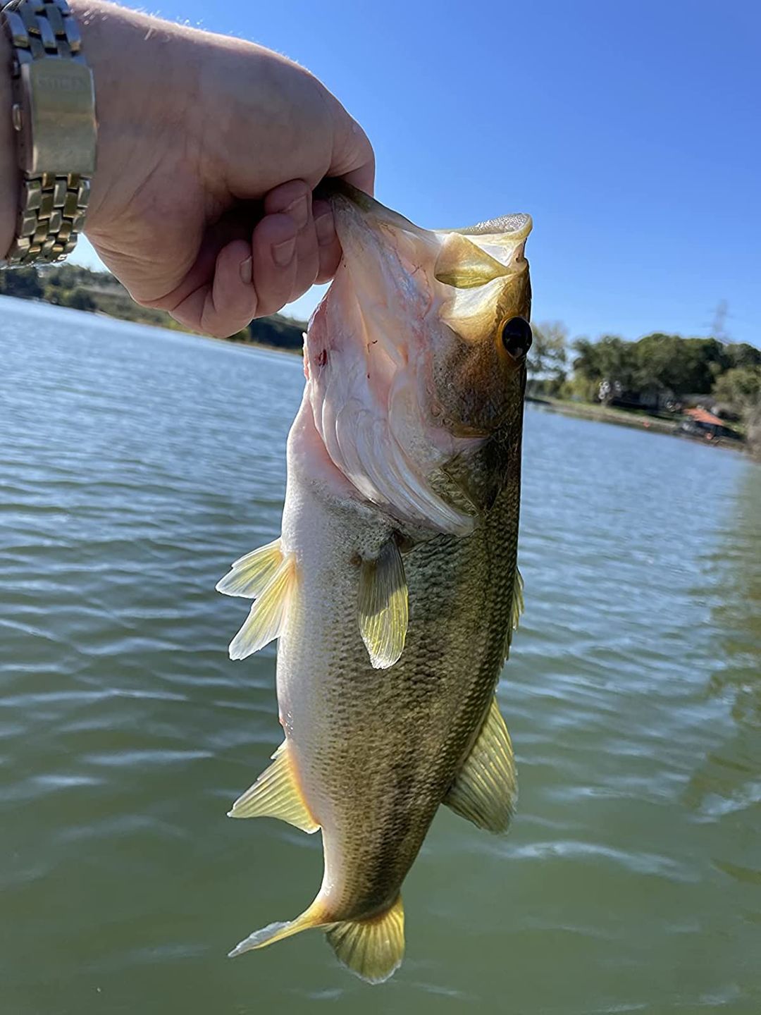Customer photo review of 4 Segment Metal Jointed Swimbait