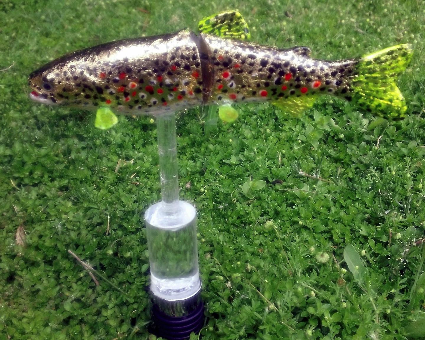 Customer photo review of Glide Bait Trout Fishing Lure