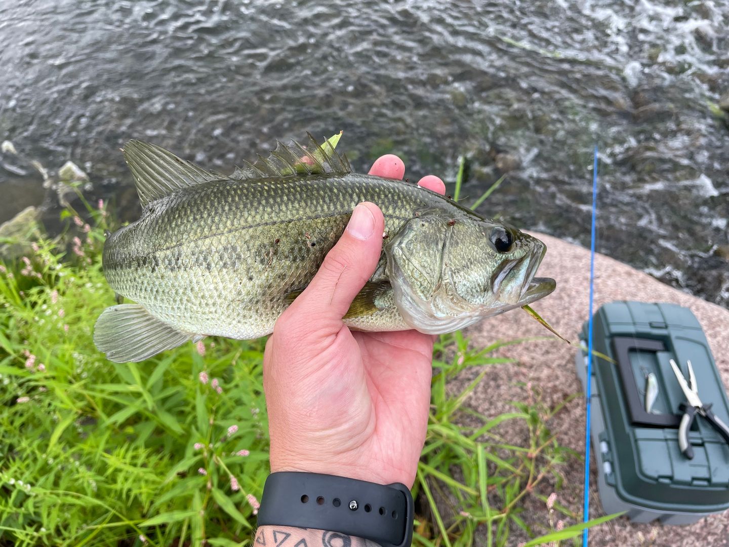 Customer photo review of Shad Swimbait Jih Head Paddle Tail Lure