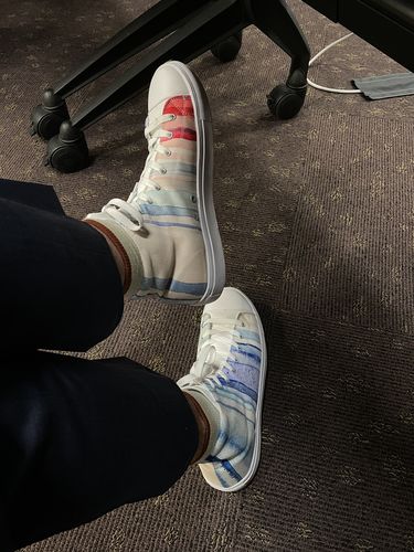 Customer photo review of Climate Stripes Men’s high top canvas shoes