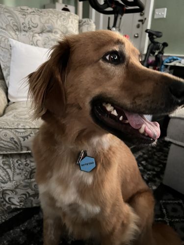 Customer photo review of Blue Silicone