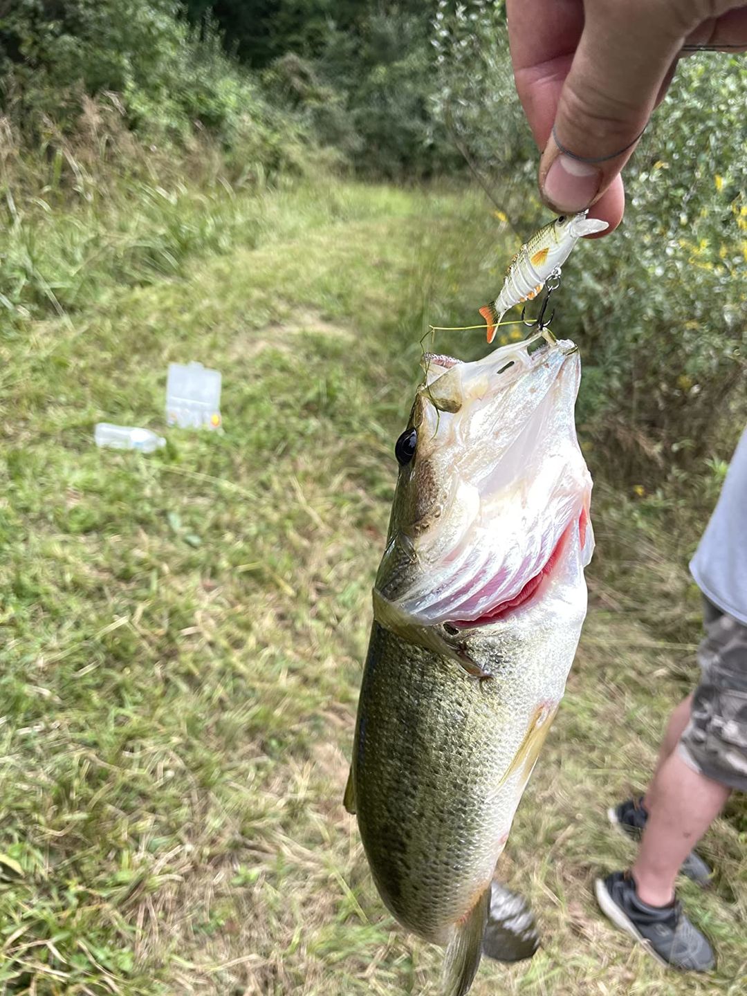 Customer photo review of Swimmax Fishing Lures | Six-Segmented | BKK Hook | Rattling Gurgling | Heavy-Duty Dyneema Fiber | For Bass & Trout & Walleye & Crappie