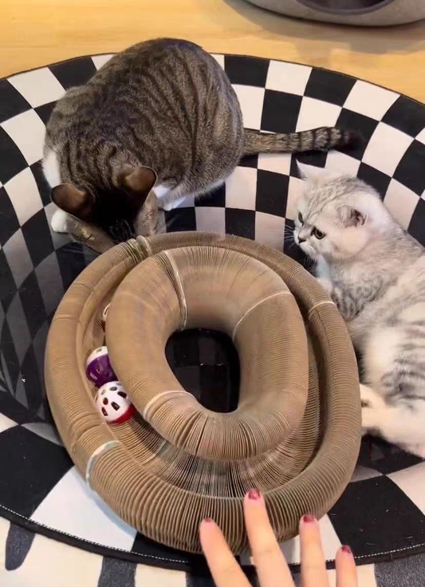 Customer photo review of Stretch It Magic Cardboard Toy