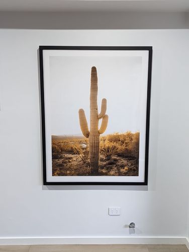 Customer photo review of Sunset Cactus