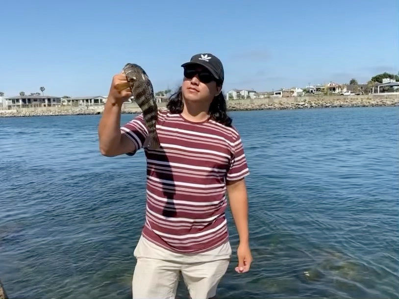 Customer photo review of Shadtale Soft Fishing Lures | BKK Hooks | Paddle Tail Swimbait  | For Bass & Trout & Crappie & Walleye