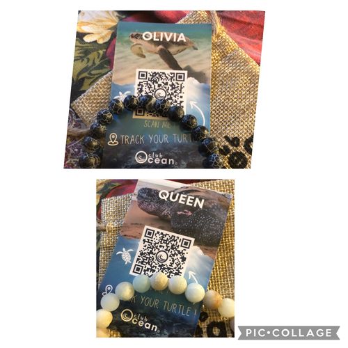 Customer photo review of "Turtle" tracking bracelet