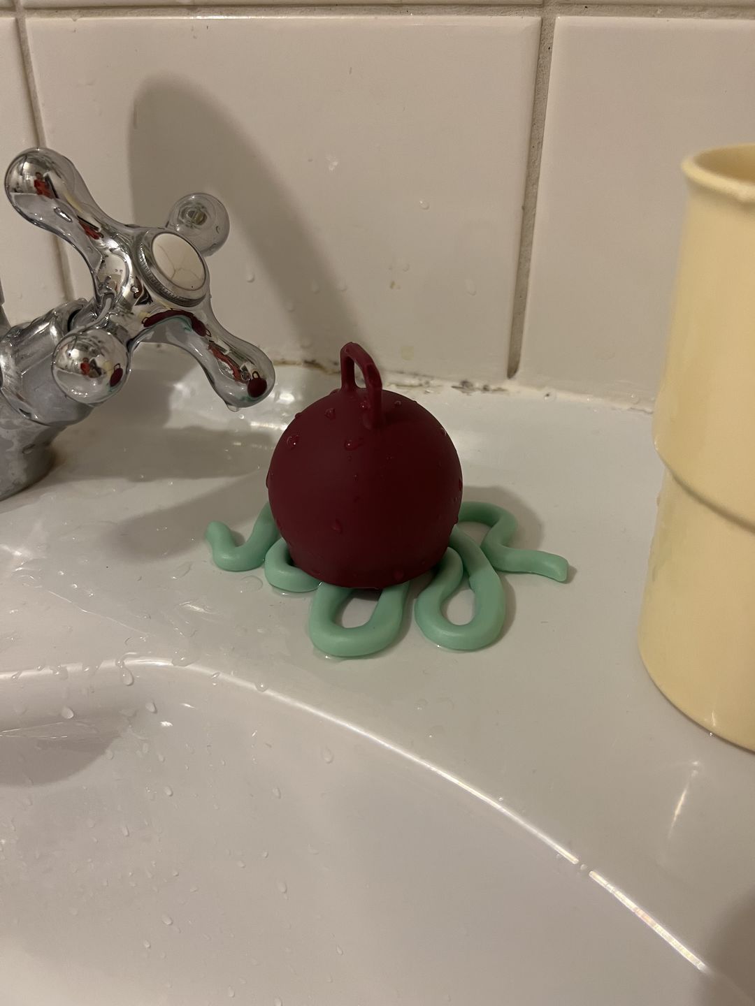 Customer photo review of Spot