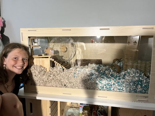 Customer photo review of Niteangel Bigger World MDF Terrarium Aspen Poplar Wooden Enclosure for Syrian and Dwarf Hamsters