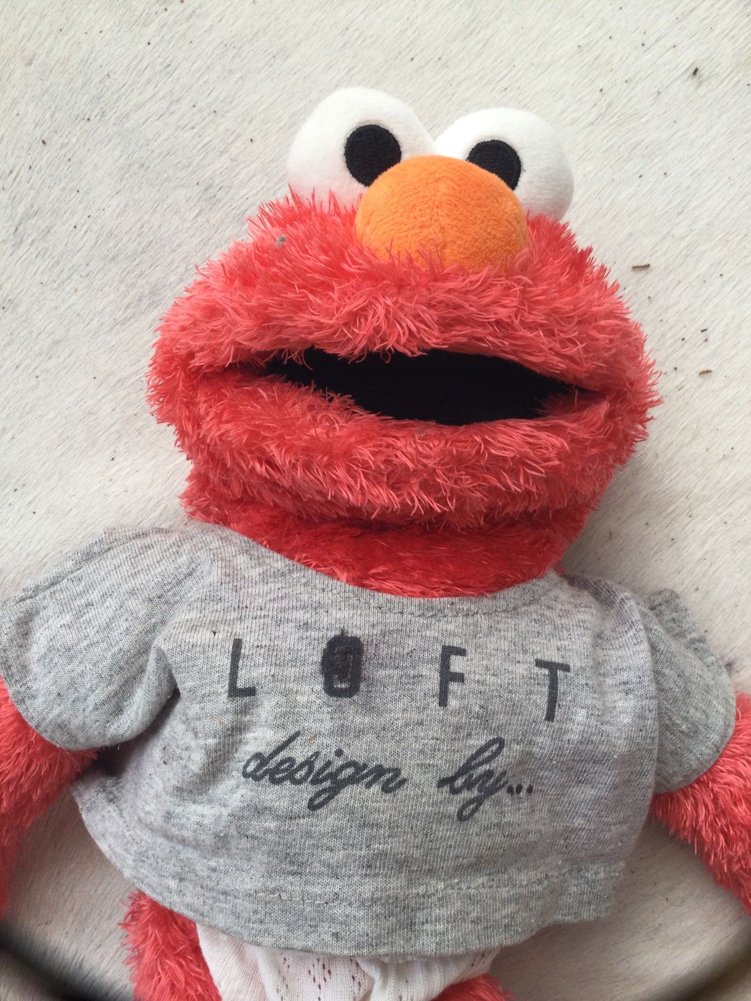 Customer photo review of Elmo Marionnette Sesame Street