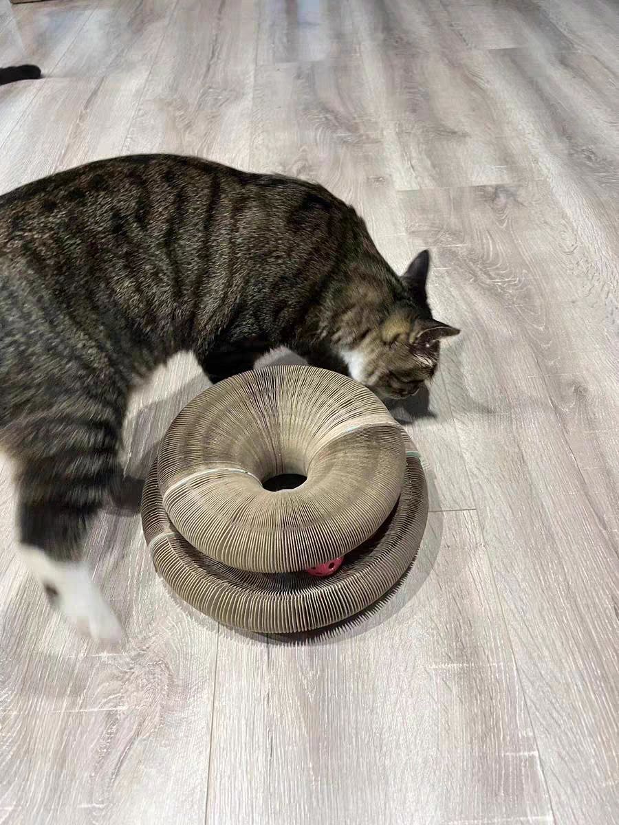 Customer photo review of Stretch It Magic Cardboard Toy