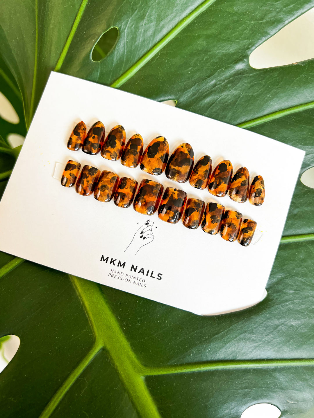 Customer photo review of Tortoise Shell Color Gel Design Kit