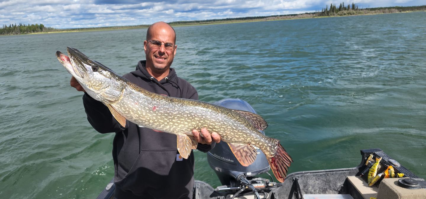 Customer photo review of Soft Bait Spinner Tail Swimbait