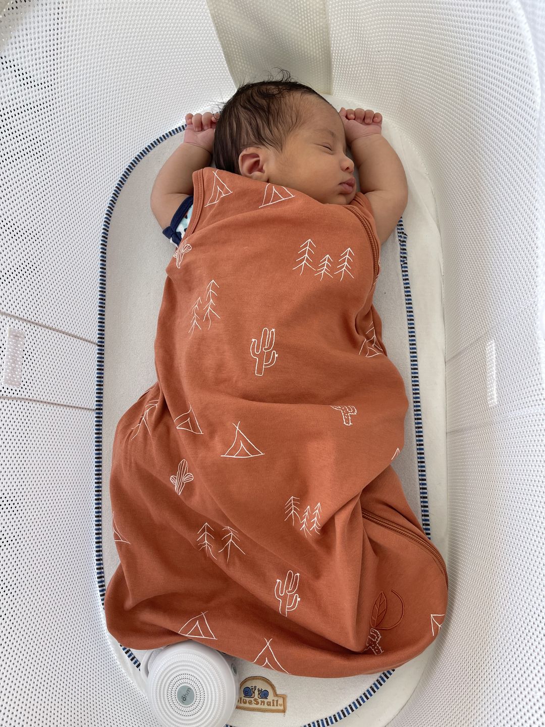 Customer photo review of Ecolino® Organic Cotton Classic Baby Sleep Bag or Sack, Desert