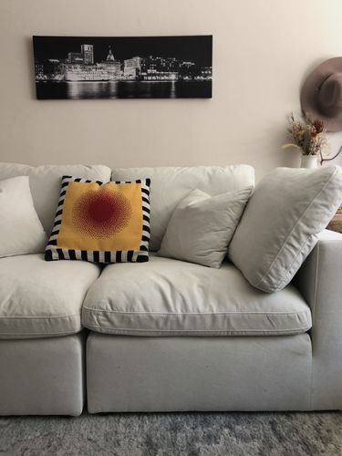 Customer photo review of SKY VELVET PLUSH MODULAR 2 PIECE LOVESEAT