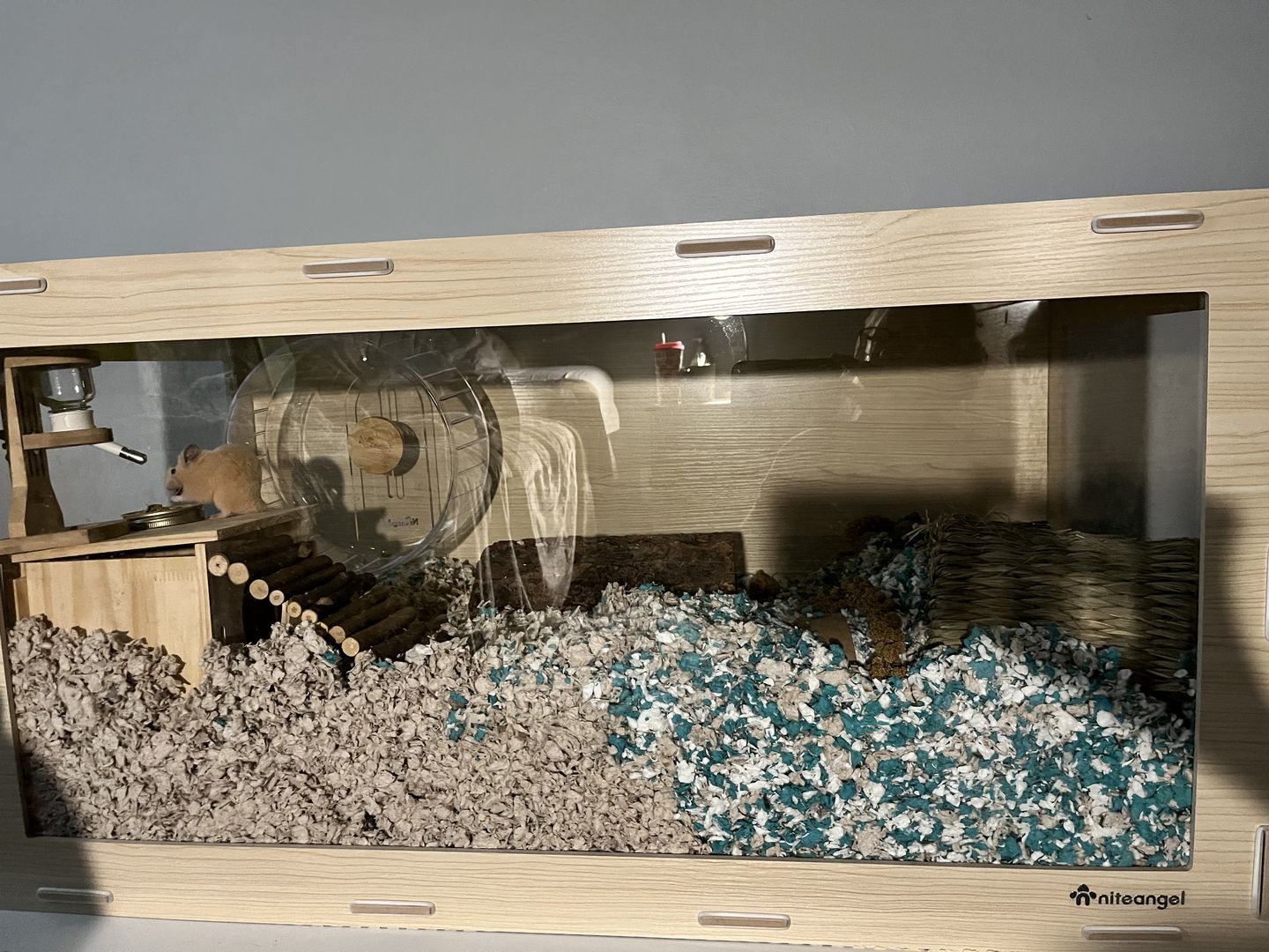 Customer photo review of Niteangel Anti-Slide Hamster Wheel Platform - Fits Super-Silent Hamster Wheel | Acrylic Wheel | Wooden Wheel | Cloud Series Hamster Wheel