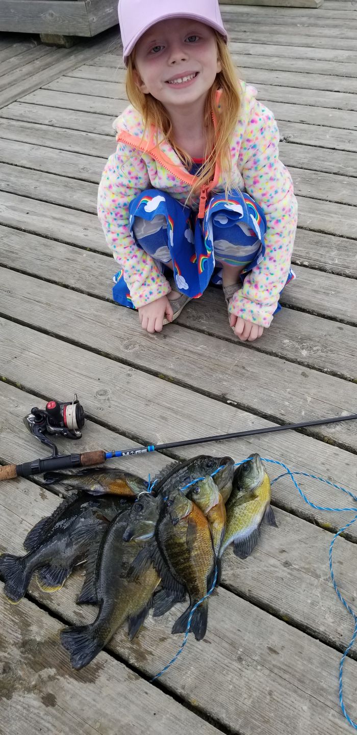 Customer photo review of Custom Panfish Rod
