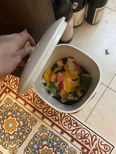 Customer photo review of קומפוסטר ביתי