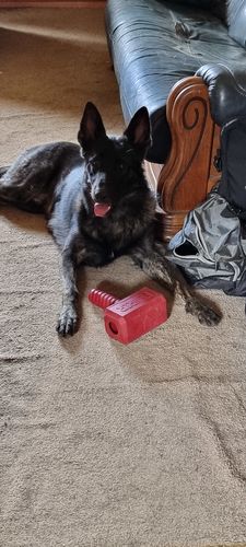 Customer photo review of The Fenrir Hammer