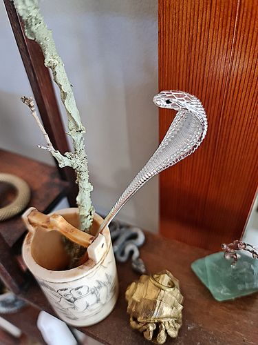 Customer photo review of Silver Cobra Coffee Spoon