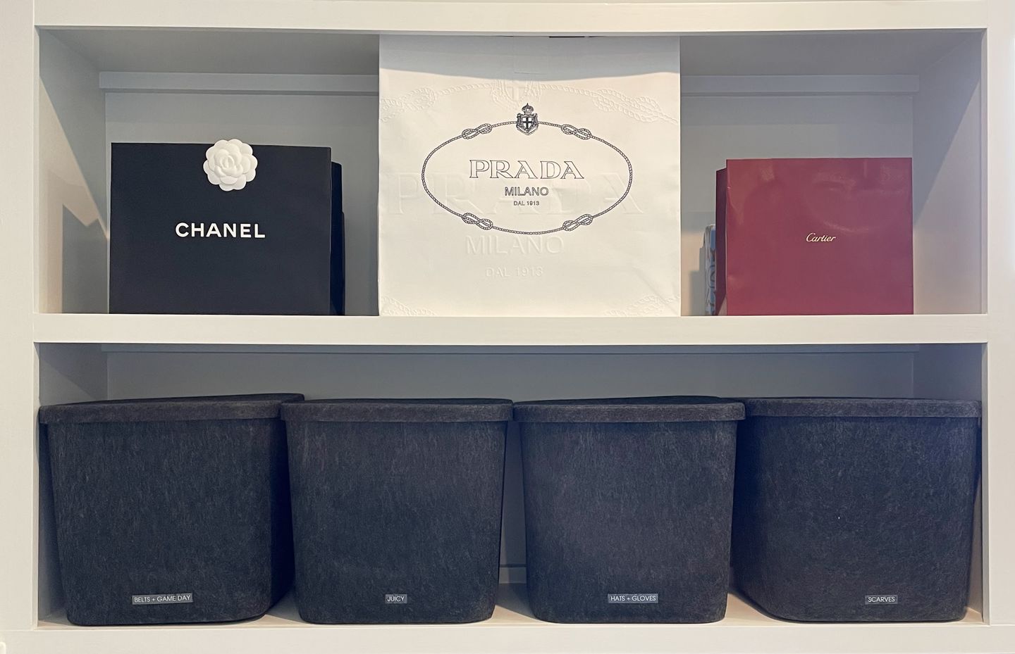 Customer photo review of The Sculpted Bin - Original with Lid