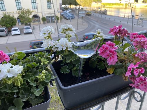 Customer photo review of Mon petit oiseau - Le Jardin de Mamie®