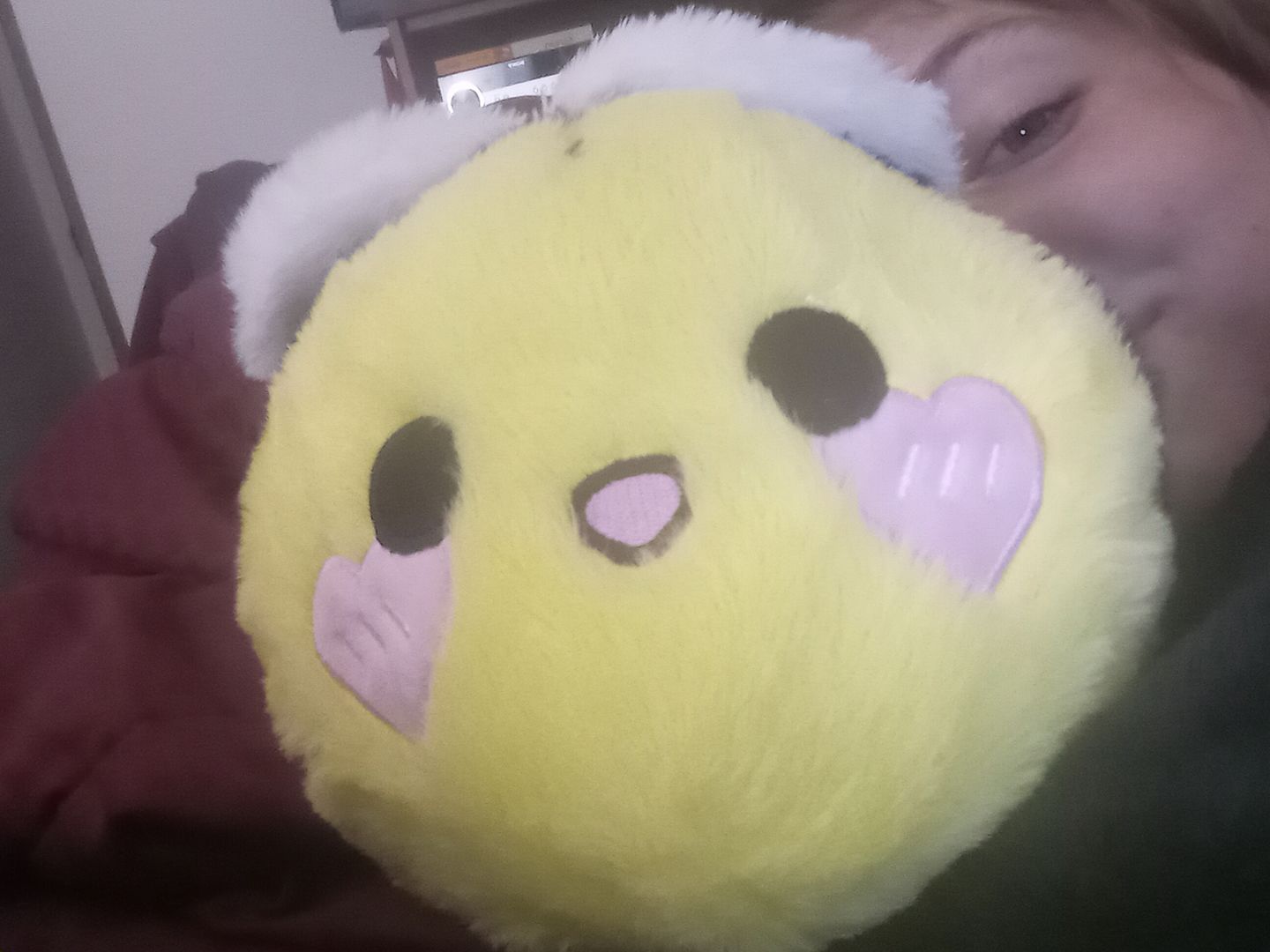 Customer photo review of Bibi The Bee Plushie
