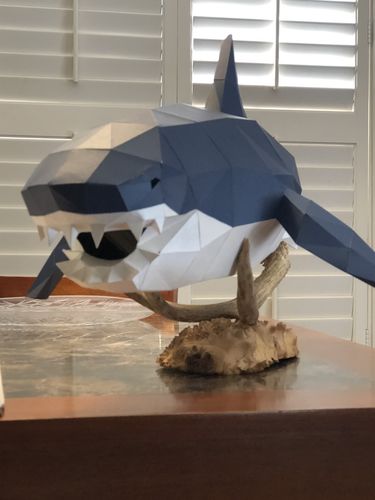 Customer photo review of 3D Shark Model