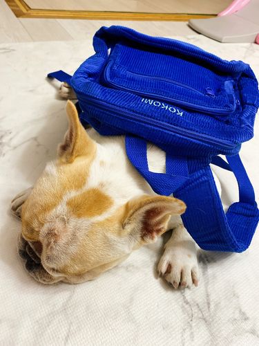 Customer photo review of Corduroy Backpack - Dark Blue
