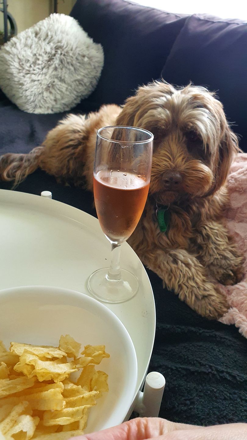 Customer photo review of Shiraz & Rosé - 2 pack