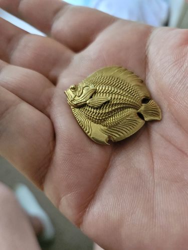 Customer photo review of Brass Angelfish Letter Opener