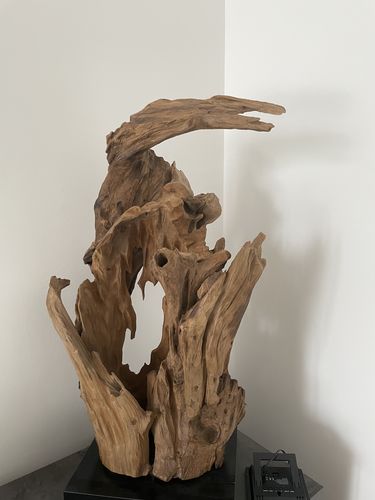 Customer photo review of Treibholz Tischlampe KRYTON Höhe 80 cm