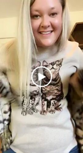 Customer video review of Full-Body Pet Custom Sweater