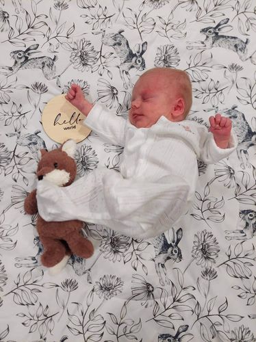 Customer photo review of First Year - Baby Milestones Set