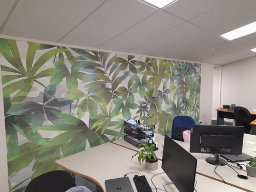 Customer photo review of Tropical NZ - Custom Sized Wallpaper Mural (per m2)